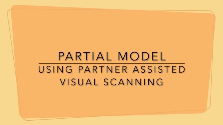 A Step-by-Step Guide to Doing a Partial Model Using a PODD book